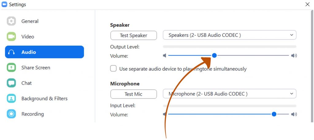 Audio Settings for Zoom