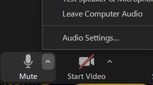 Audio Settings for Zoom