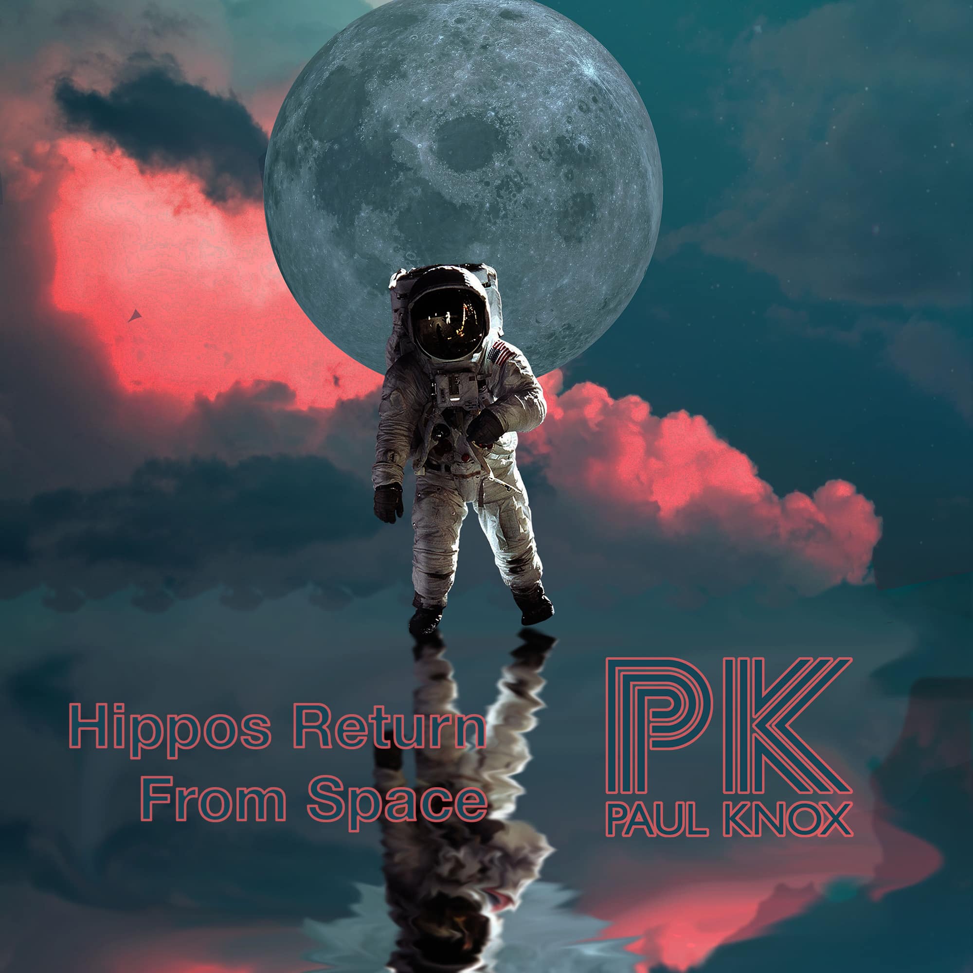 Hippos Returning From Space album cover