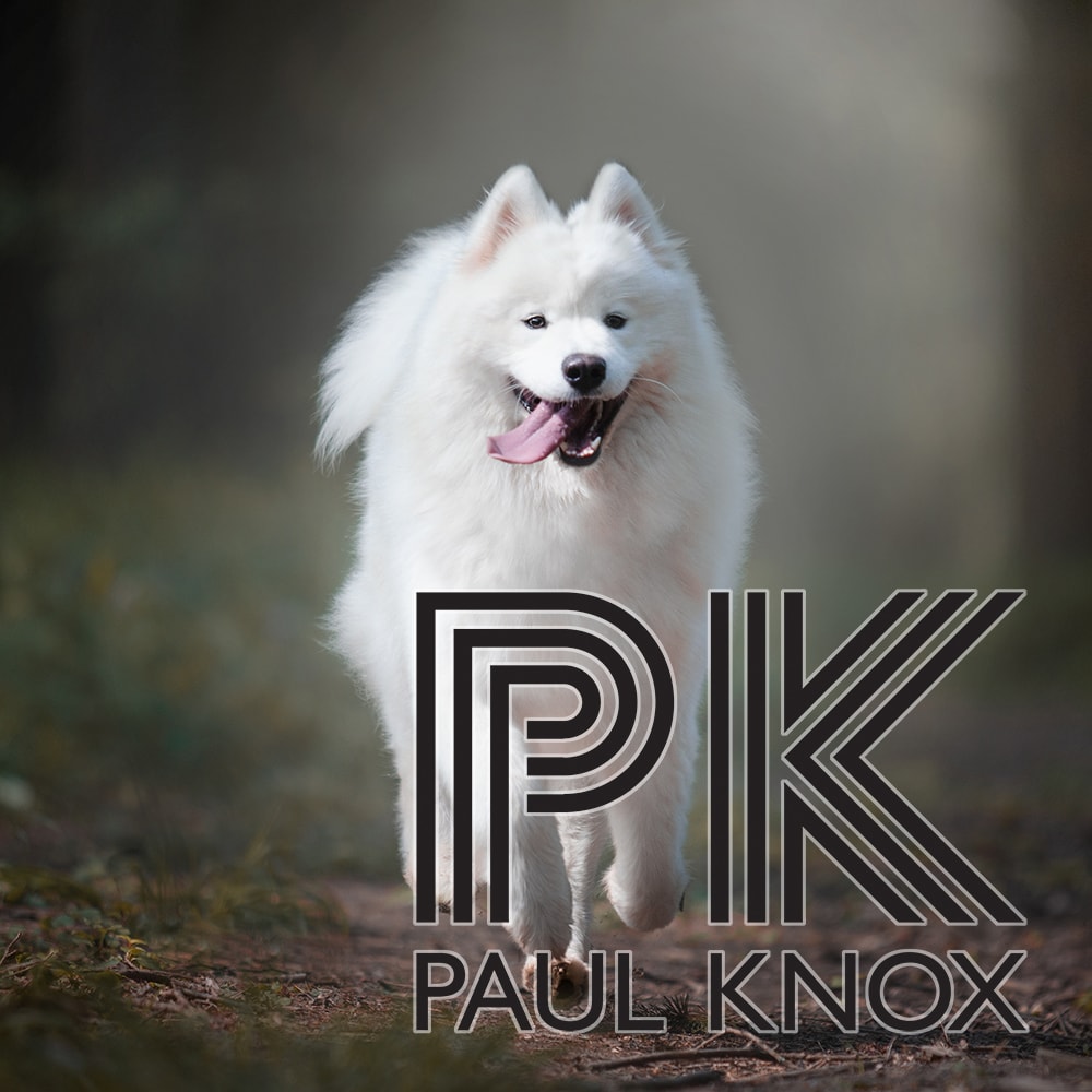 Dance Church - Dec 20, 2020 - Paul Knox